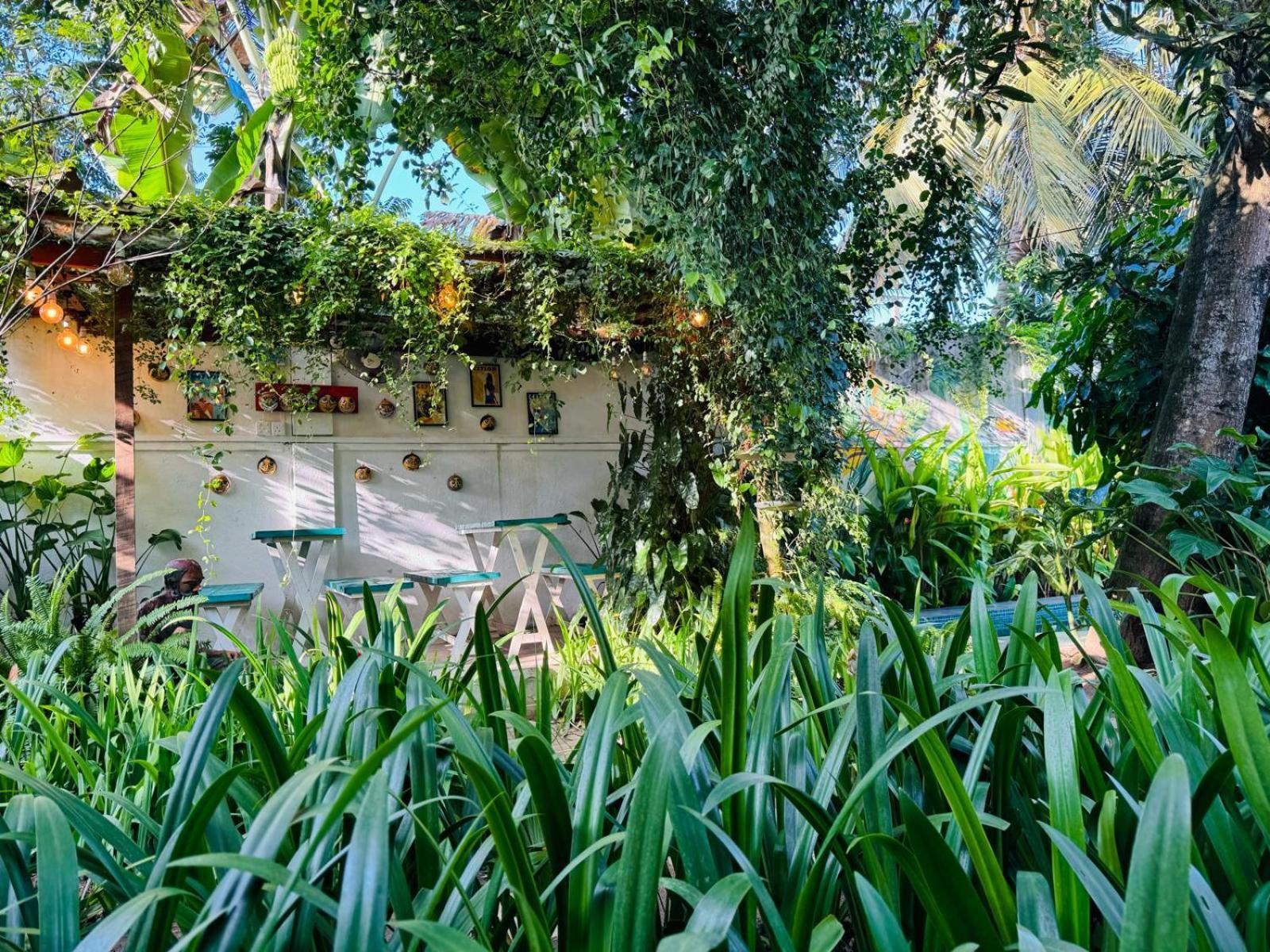 Double Mango Villa カトゥナカヤ エクステリア 写真