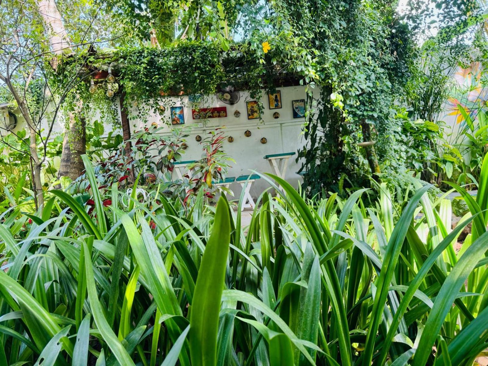 Double Mango Villa カトゥナカヤ エクステリア 写真